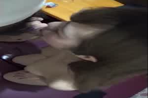 AYWQ  建国路养生馆，把G奶妹干到巨乳一晃一晃的  背景图片