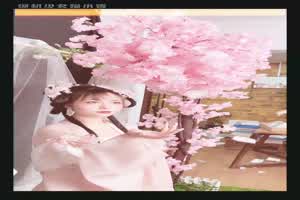 猫小吉 清平乐花絮长4k 最美情色写真又来啦！  背景图片