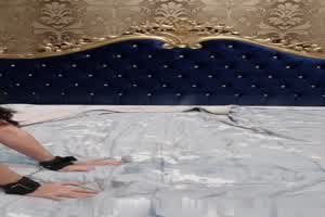 主人热情的母狗骑乘  背景图片