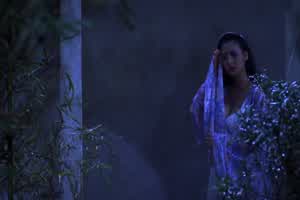 【经典三级】 聊斋艳谭 片段1  背景图片