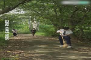 《女教师张越》第七集  背景图片