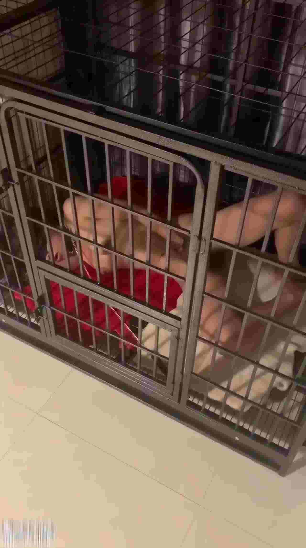  性奴养成记关在笼子小公主 的剧照2