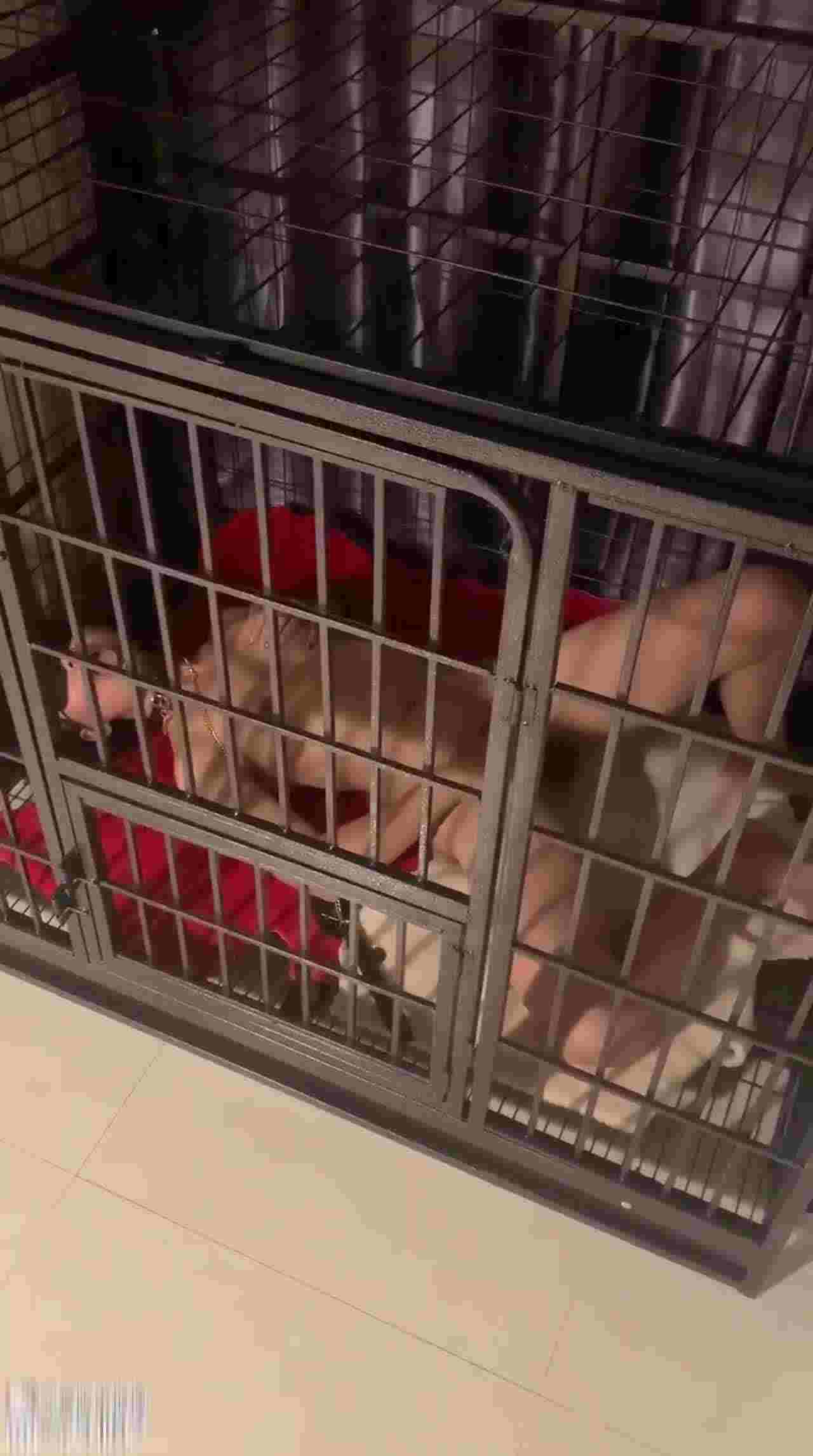  性奴养成记关在笼子小公主 的剧照6