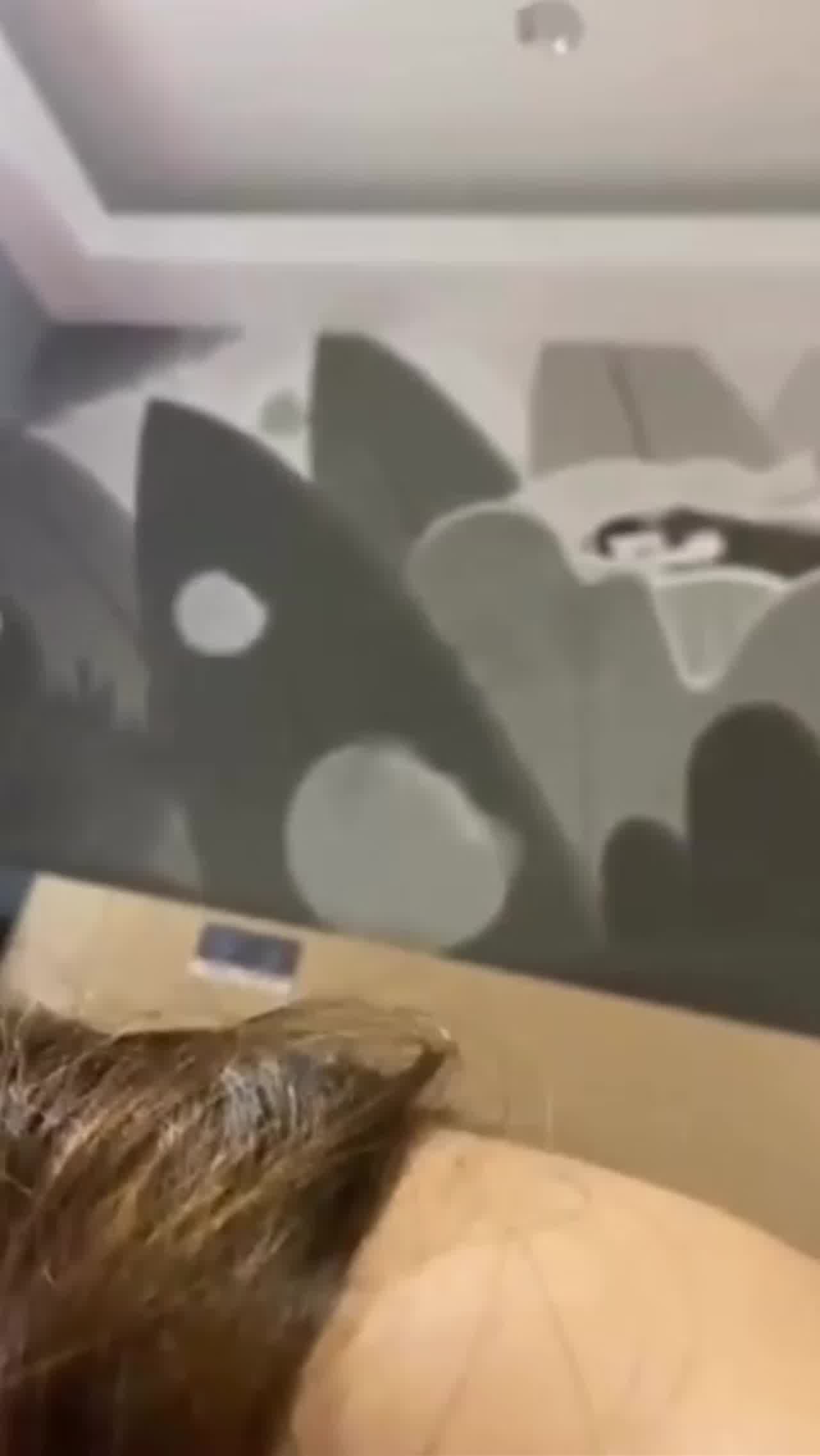  【好命渣男】渣男哥哥都好命女友漂亮不说奶子还大，口活还特别好 的剧照6