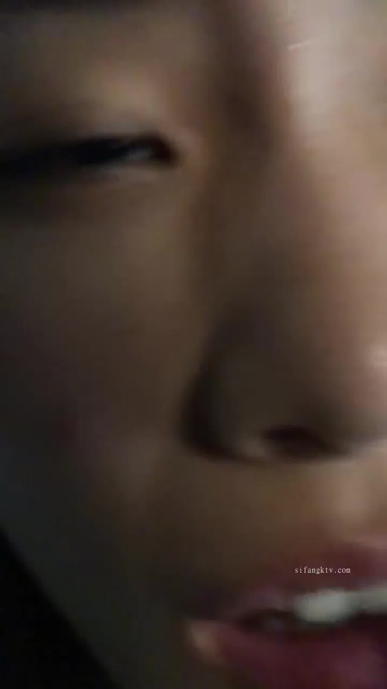  大学清纯校花与男友性爱流出 被男友干到脚抖不停 的剧照10