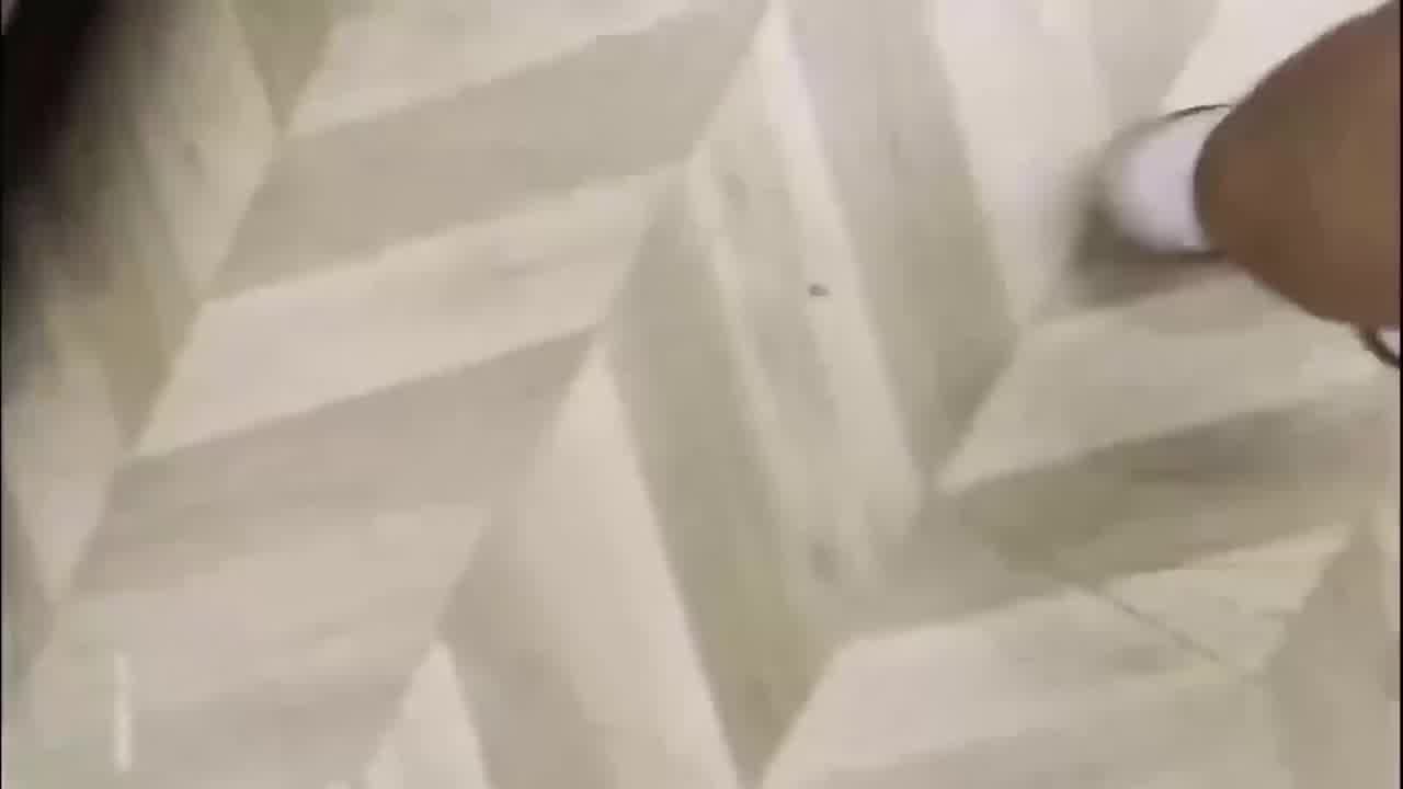  【脚都伸进逼里了】超级母狗，躺下被狂打耳光，另一个妹子用脚玩逼，脚都能塞进去一半，边插边语言辱骂 的剧照4