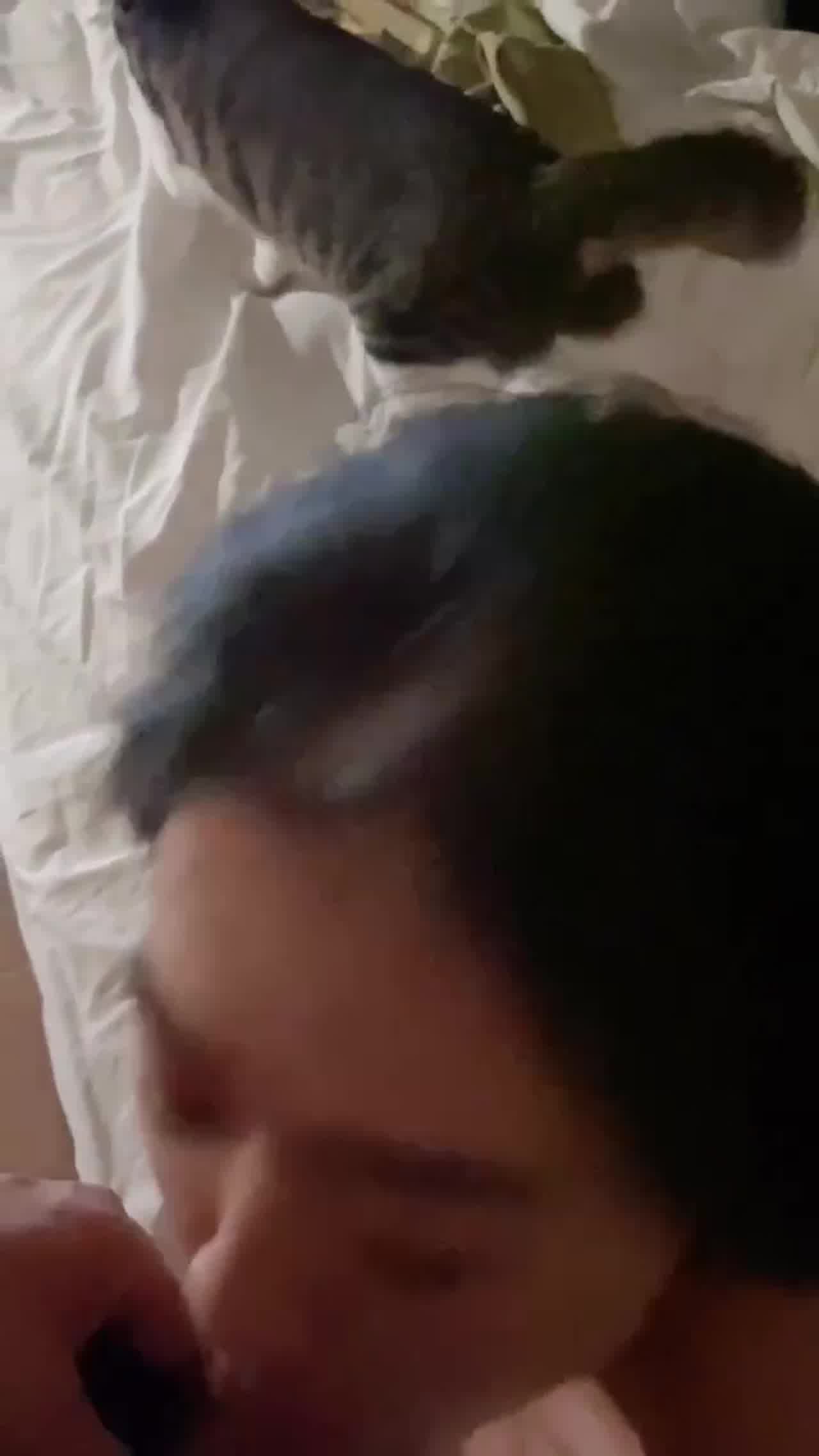  趴着吃品尝鸡巴 的剧照2