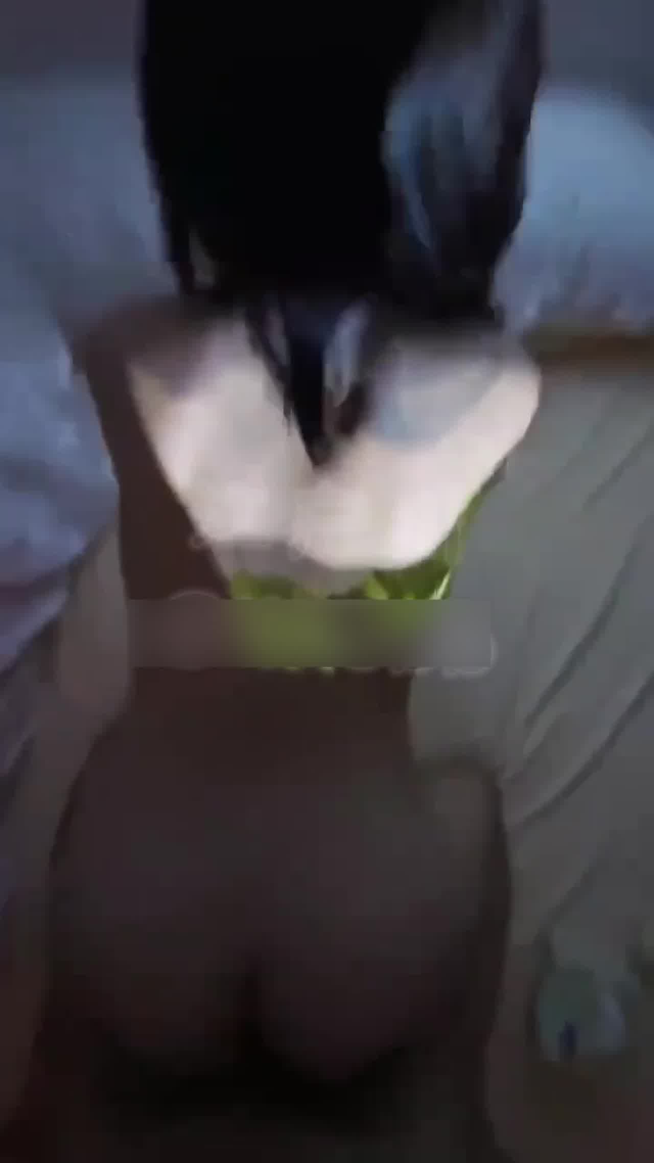  后入极品翘臀小骚货 的剧照8