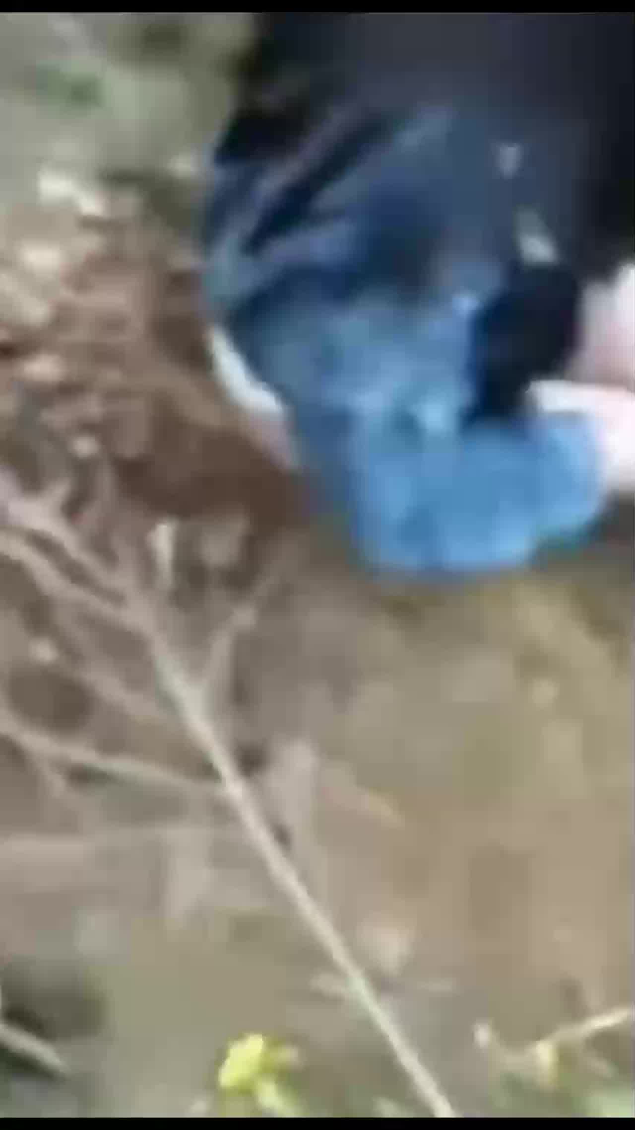  【稀缺资源】真实强奸轮奸越反抗越刺激！可怜的女人们场面过于残忍，全网最全合集！ 的剧照1