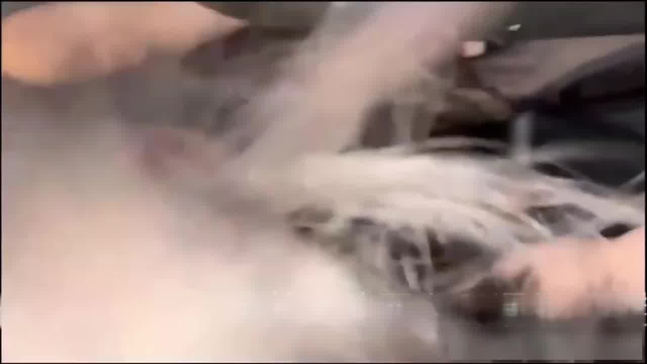  【清纯腼腆外表下，淫荡如母狗】涉世未深的妹妹第一次玩车震，还给舔脚，嫩穴都快捅烂了，直接深喉口爆！ 的剧照7